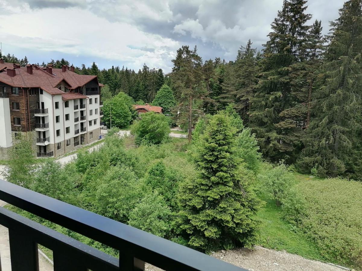 Borovets Gardens Studio D36 Zewnętrze zdjęcie