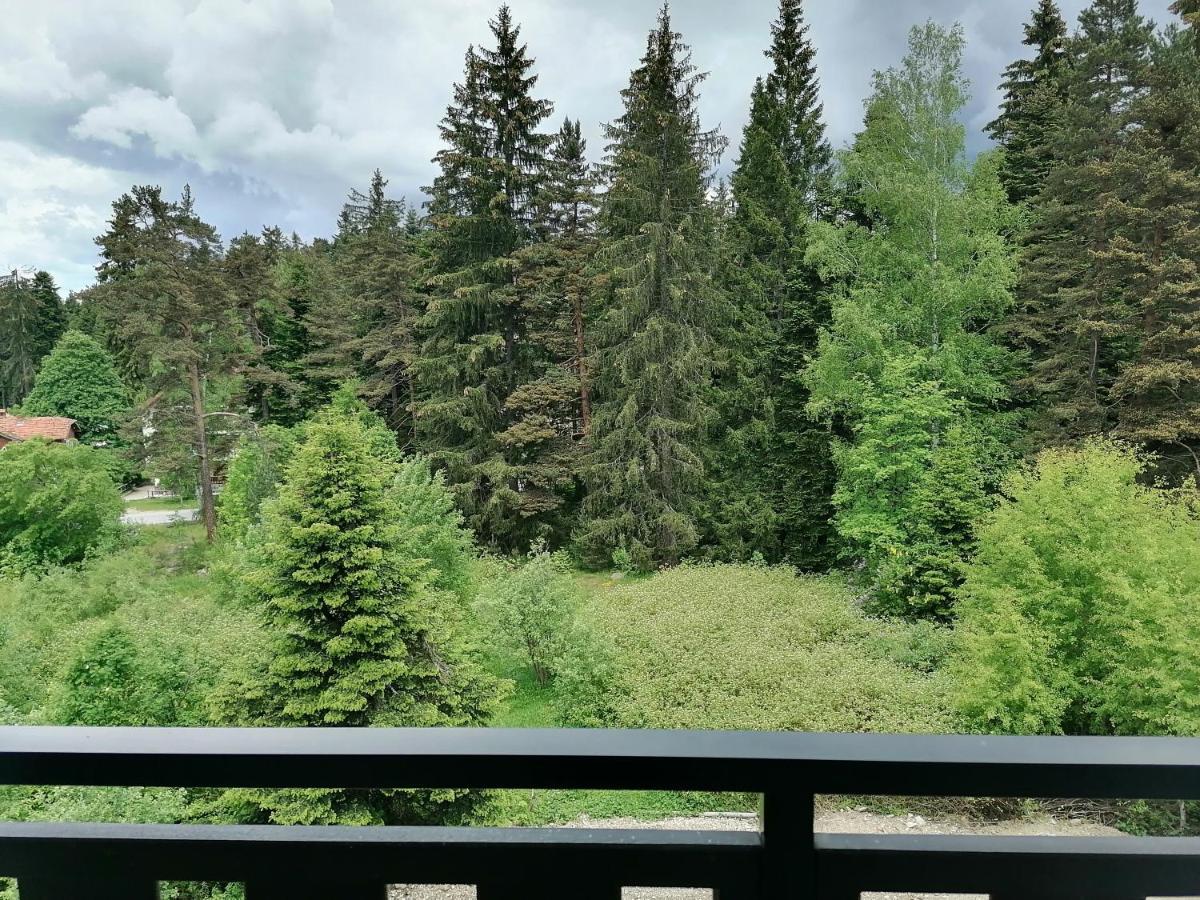 Borovets Gardens Studio D36 Zewnętrze zdjęcie