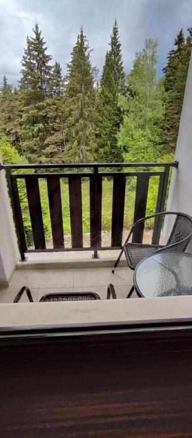 Borovets Gardens Studio D36 Zewnętrze zdjęcie